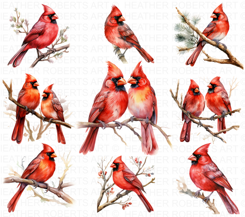 Watercolor Red Cardinal Clipart Set