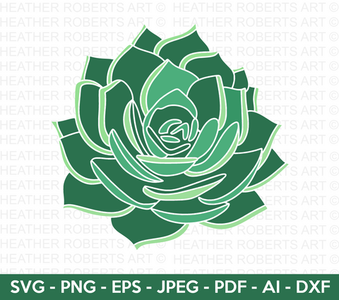 Succulent SVG