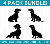 Dachshund Dog SVG Bundle