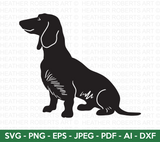 Dachshund Dog SVG