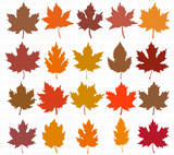 Fall Leaves SVG Bundle