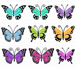 Butterfly Svg Bundle