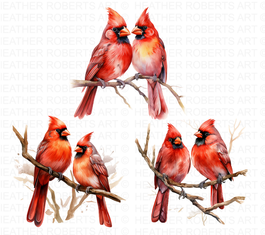 Watercolor Cardinal Birds Clipart Female Cardinal Red Cardinal 