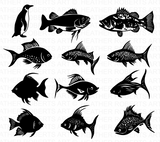 Sea Animals Svg Bundle