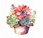 Watercolor Succulents Clipart