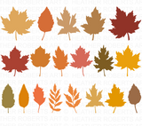 Fall Leaves SVG Bundle