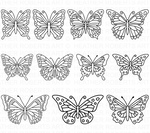 Butterfly Svg Bundle