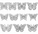 Butterfly Svg Bundle