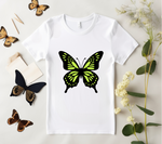 Butterfly Svg Bundle