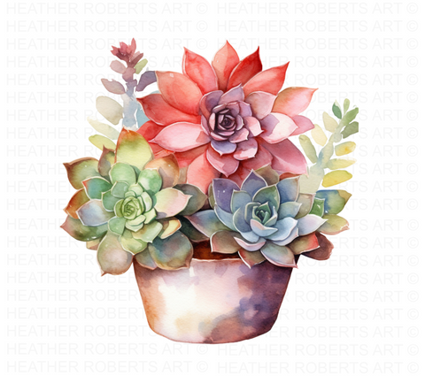 watercolor succulents png Watercolor Succulents Clipart – Heather Roberts Art