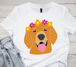 Golden Retriever SVG