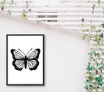 Butterfly SVG