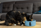 Cat SVG