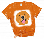 Golden Retriever SVG