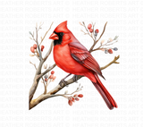 Watercolor Red Cardinal Clipart Set