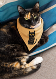 Cat SVG