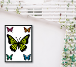 Butterfly Sublimation Bundle