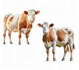 Farm Animals Watercolor Clipart