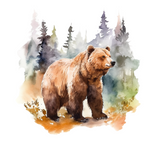 Grizzly Bear Watercolor Clipart Set