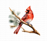 Watercolor Red Cardinal Clipart Set