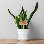 Retro Plant Stakes SVG Bundle