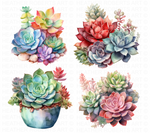 Watercolor Succulents Clipart