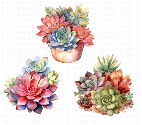 succulent plants clip art Watercolor Succulents Clipart – Heather Roberts Art