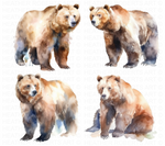 Grizzly Bear Watercolor Clipart Set