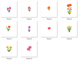 Flowers Clipart Set