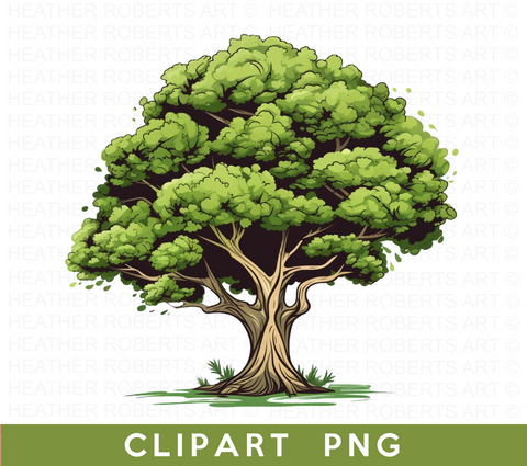 Tree Clipart PNG