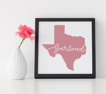 Texas SVG Bundle