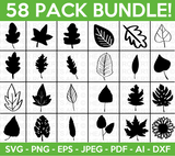 NATURE MEGA BUNDLE