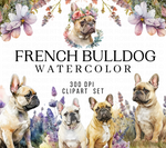 Watercolor French Bulldog Clipart Set