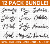 Months of the Year Svg Bundle