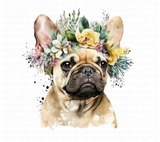 Watercolor French Bulldog Clipart Set