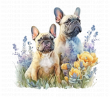 Watercolor French Bulldog Clipart Set