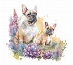 Watercolor French Bulldog Clipart Set