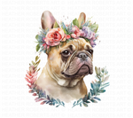 Watercolor French Bulldog Clipart Set