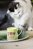 I Love My Cats Sublimation PNG