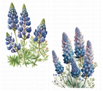 Bluebonnets Watercolor Clipart - Texas State Flower