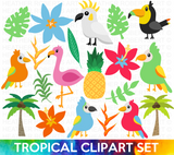 Tropical Birds Summer Clipart Set