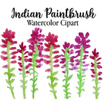 Indian Paintbrush Watercolor Clipart