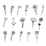 Wildflowers SVG