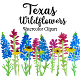 Texas Wildflowers Watercolor Clipart Bundle